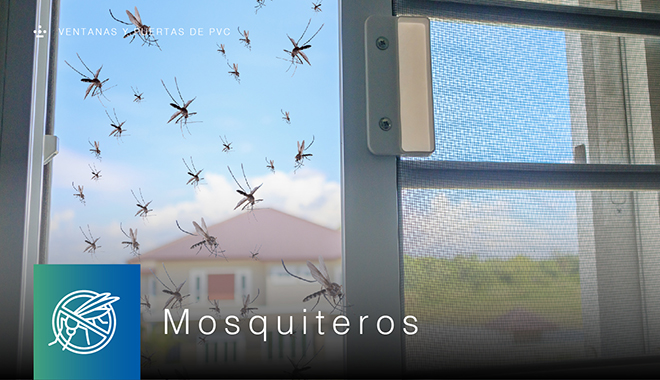 Noticia, Septiembre 2025